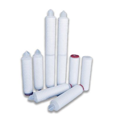 Cartucho de filtro de agua de 10 pulgadas de 0,1 micras de PTFE de membrana plissada para tratamiento biológico