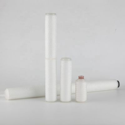 Cartucho de filtro con membrana absoluta de 0,22 micras esterilizado de 10 pulgadas