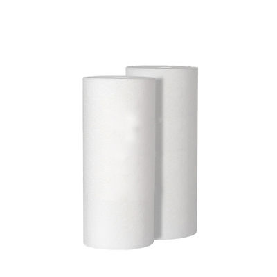 Cartucho de filtro de carbono activado de 10 pulgadas para el tratamiento de agua